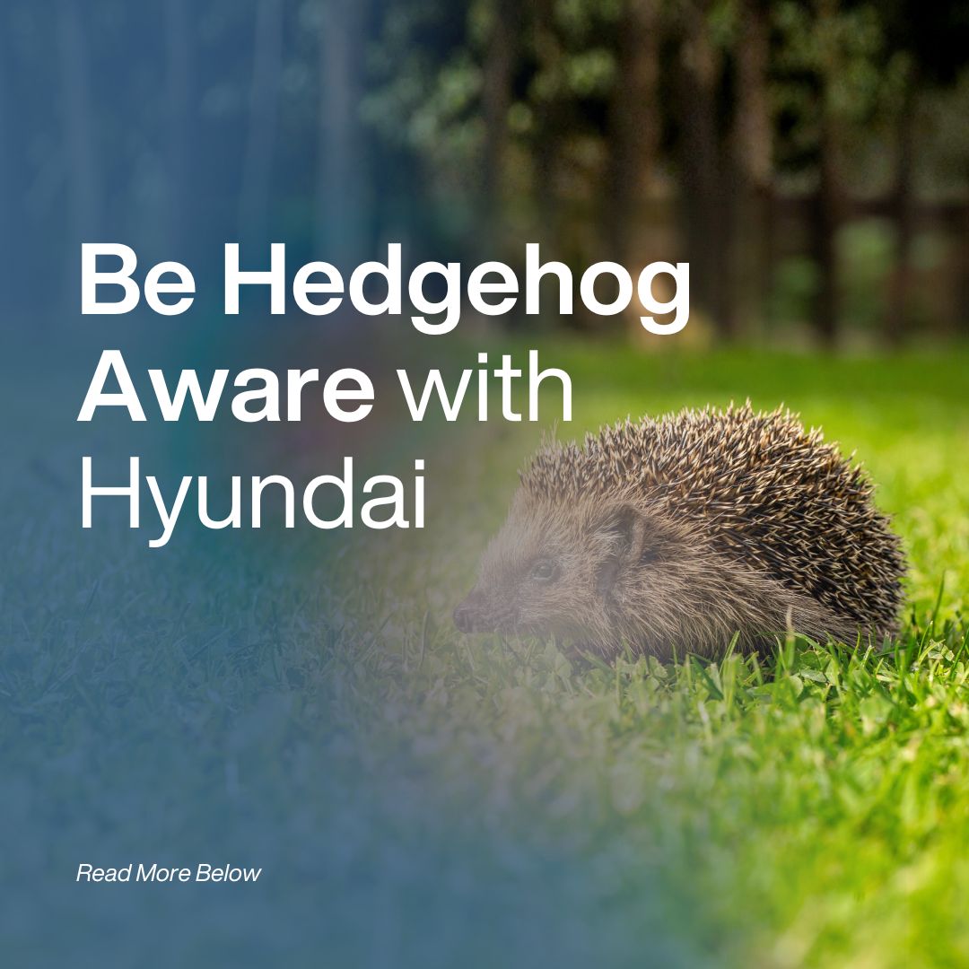 Be Hedgehog Aware with Hyundai Power Products