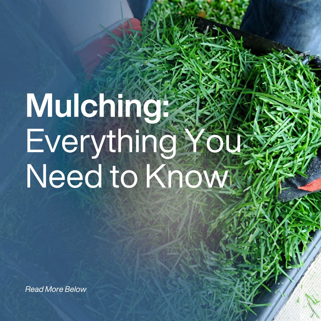 Mulching Lawn Mowers: Everything You Need to Know