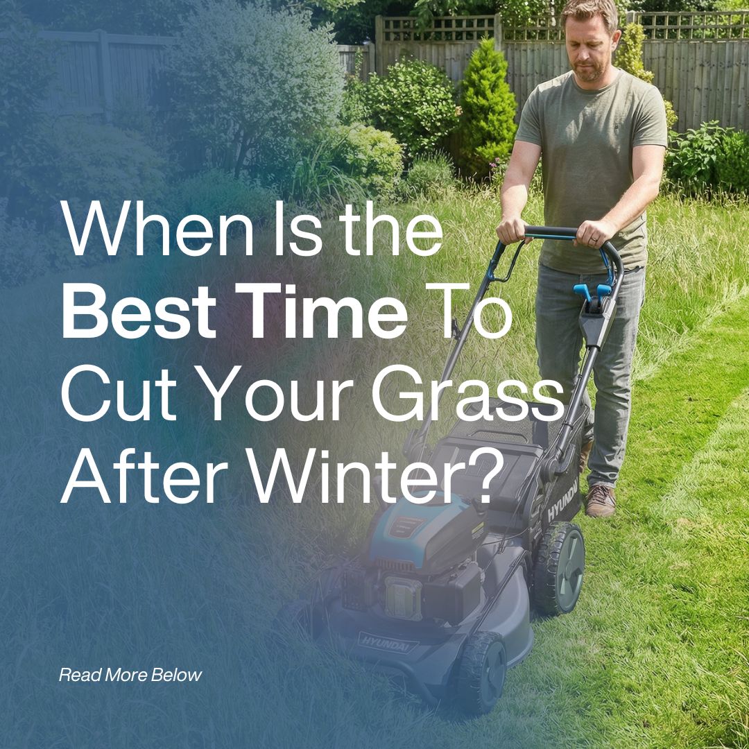 When Is the Best Time To Cut Your Grass After Winter?